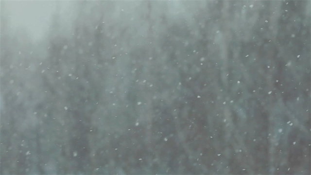 Heavy snow falling. Close up. Blurred background