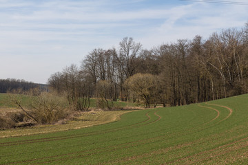 spring landscape in bavaria