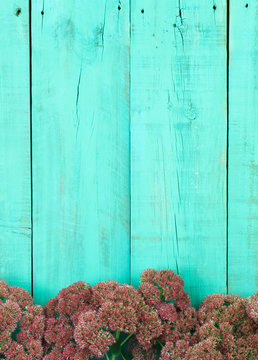 Pink floral border by antique teal blue wood fence