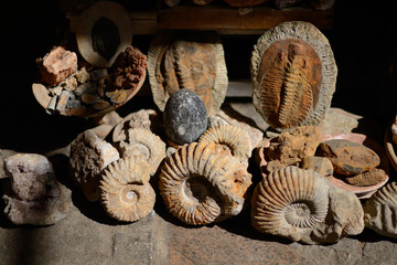 Fossils on display in Moroccan market © Alexmar