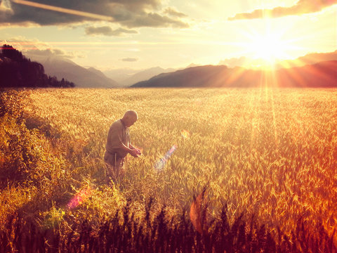farmer