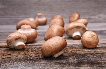 Brown champignon on wooden background