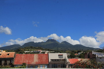 Guadeloupe - Janv 2015 - Basse Terre