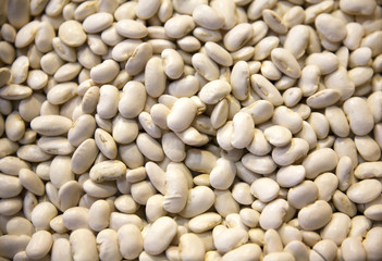 Background of white kidney beans