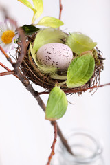 Quail egg in the decorative nest