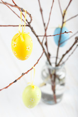 Easter eggs on the branch