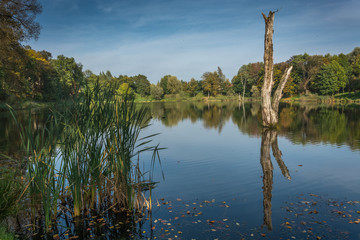 Neisse river