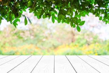 Perspective white wood over blur trees with bokeh background