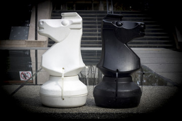 Ajedrez caballo negro y blanco © davidnebot