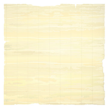 Tattered papyrus paper