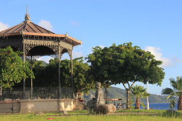 Fototapeta na wymiar Guadeloupe - Janv 2015 - Basse Terre