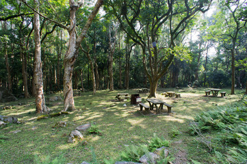 A picnic site in forest