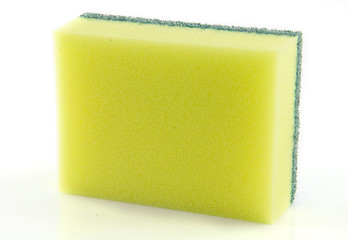 sponge isolated