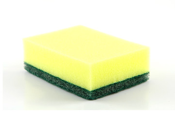 sponge isolated