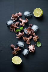 Baby octopuses with lime and ice cubes over black wooden surface