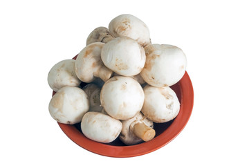 Mushrooms