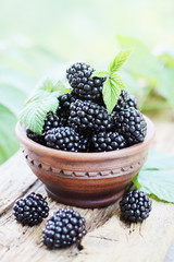 blackberries in a ceramic bowl