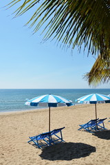 beach canvas beds on the beach