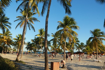 Obraz premium Guadeloupe - Gosier - Janv 2015