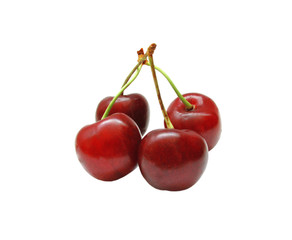 Sprigs of cherry