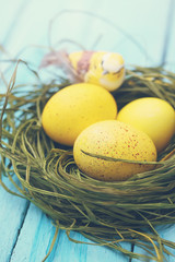 eggs with a bird, tinted