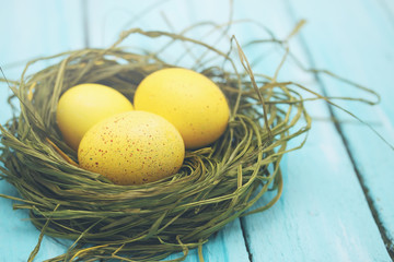 large yellow eggs