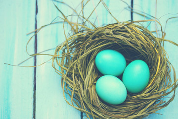 turquoise eggs, tinted