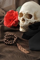 人間のドクロとバラ