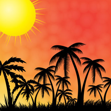 Summer holiday background.Tropical banner.