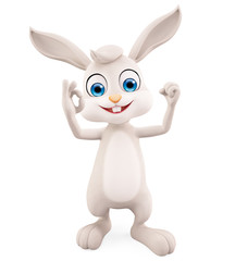 Fototapeta na wymiar Easter Bunny with best sign pose