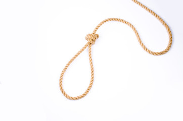 Hanging noose on white background - 79777166