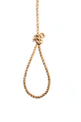 Hanging noose on white background - 79777176