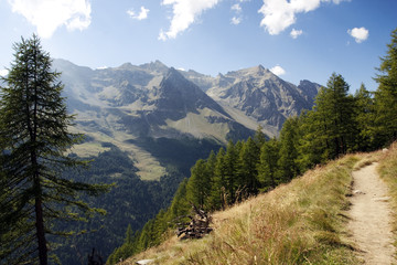 Obraz premium Sentiero