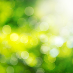 Obraz premium green background