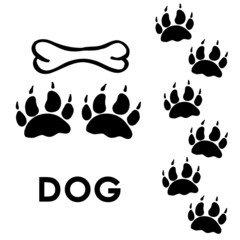 dog's paw prints