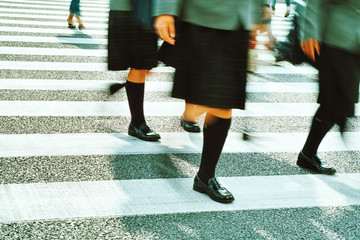 Fototapeta premium Crossing