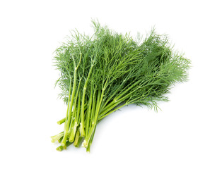 Fresh fennel