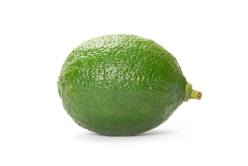single lime on white background