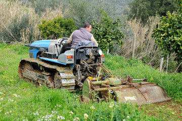 works from the vegetable garden