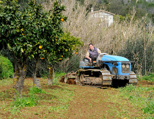 works from the vegetable garden