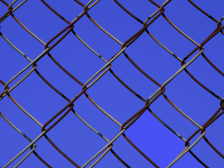 Fototapeta premium Rete