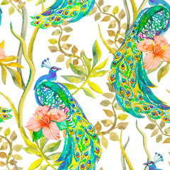 Beautiful peacock pattern. Tropical seamless pattern. Vector - 79785791
