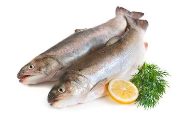 Fresh trout