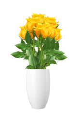 beautiful yellow roses isolated on white