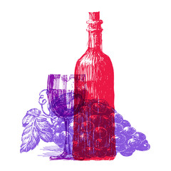 winemaking, wine on a white background. sketch