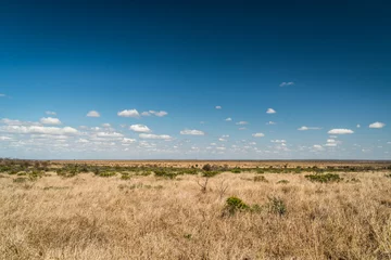 Zelfklevend Fotobehang Steppe © janssman