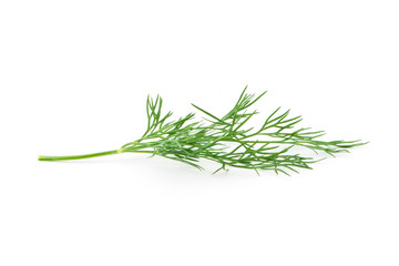 Green dill isolated on white background. Studio macro
