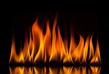 Fire flames on a black background