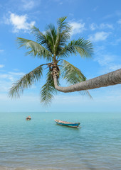 Nature background of sea with coconut palm tree