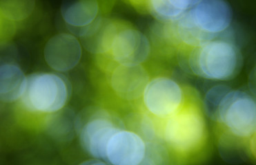 green bokeh